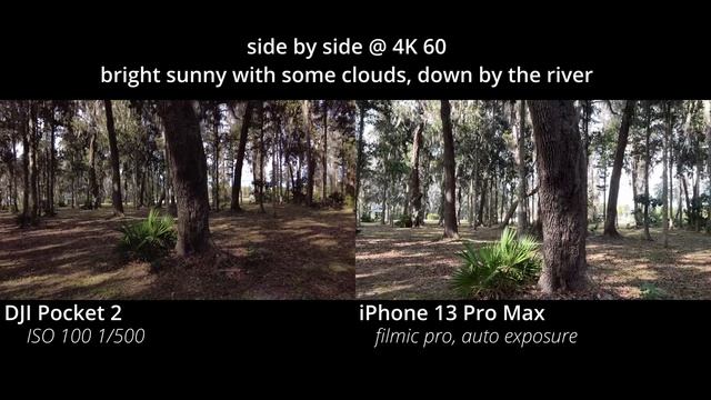 DJI Pocket 2 vs. iPhone 13 Pro Max -- 2022.01.12 -- bright sunny walk, side-by-side 4K 60 смотреть онлайн