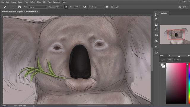 Coala bear | Digital Painting | Photoshop смотреть онлайн