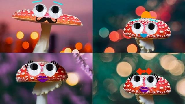 Kids Mushroom Song