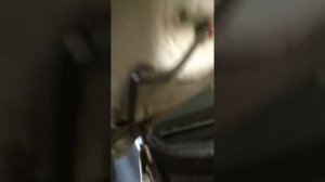 Ремонт форсунок стеклоомывателя Киа сид