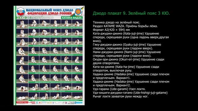 Сдача на пояс по дзюдо. Требования и материалы в плакатах и на видео. смотреть онлайн