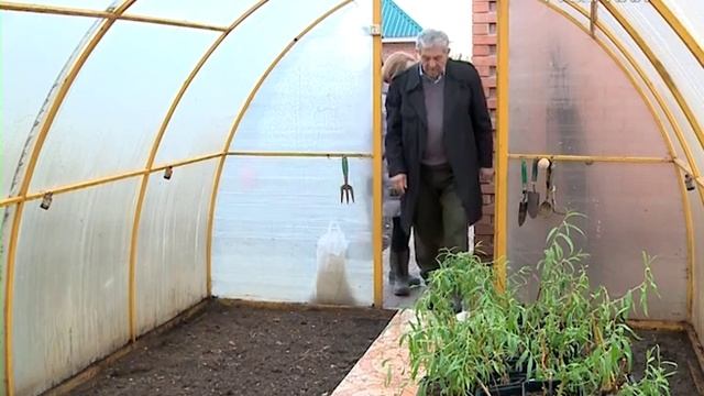 Как вырастить иву? смотреть онлайн