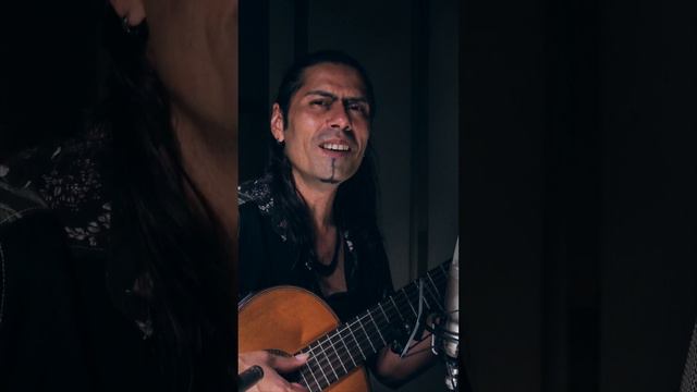 Djavan - Cigano смотреть онлайн