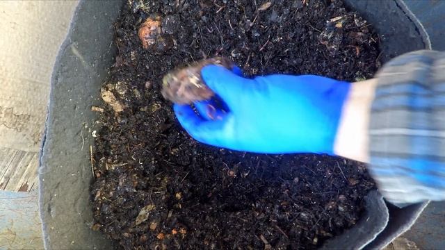 Outdoor worm bag no longer stored outdoors after freeze scare - vermicompost смотреть онлайн