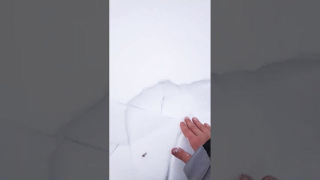 ✨история +снег✨(истороя не моя) смотреть онлайн