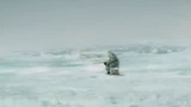 Ловля на живца смотреть онлайн