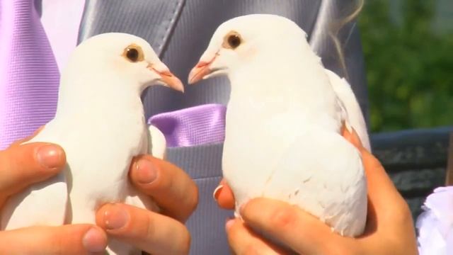 Свадьба в сиреневых оттенках Кристины и Дмитрия смотреть онлайн