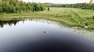 Как поймать карася в Мае. Ловля карася весной.Где искать на что ловить карася, прикормка и наживка.