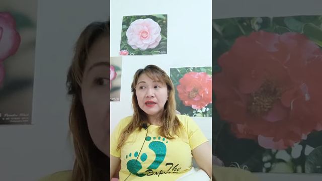 Paano Mag Karoon Ng Subscribers Sa Youtube /youtube tips смотреть онлайн