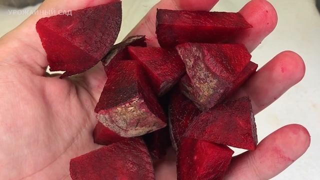 Герань с Роду Так Не Цвела! Бабушкин Рецепт Подкормки для Пышного Цветения Всех Цветов! смотреть онлайн