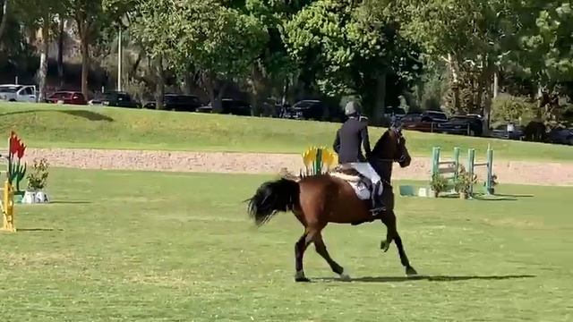 Enzo Ferrari S смотреть онлайн