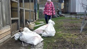 Купили кур с птицефабрики