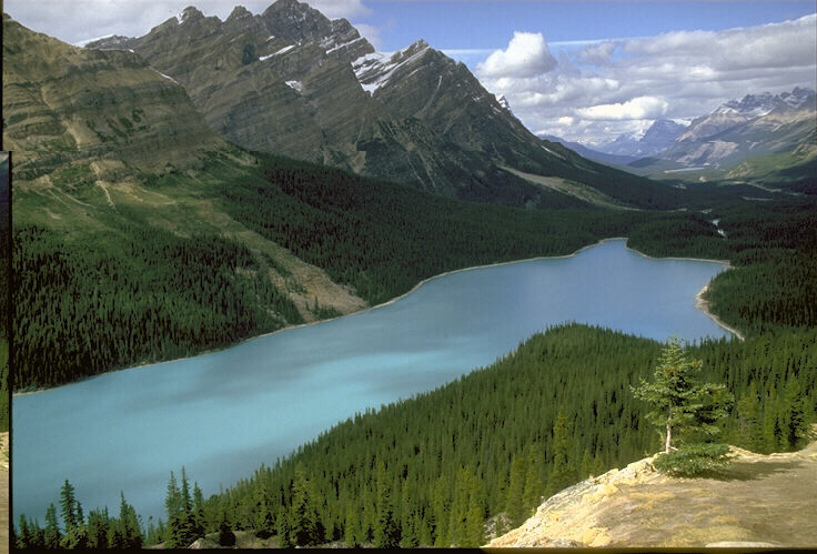 Ревность. Как справиться с ревностью смотреть онлайн