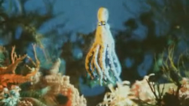 КОАПП. Перепись населения смотреть онлайн