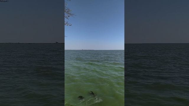 Берег моего детства смотреть онлайн