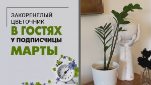 В гостях у Марты. Питерская квартира, достойная восхищения