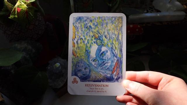 Findhorn Spirit Oracle Card Unboxing ✨? Created by Automatic Drawing смотреть онлайн