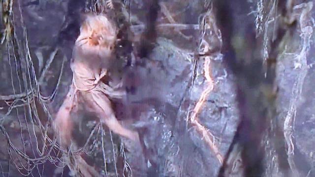 King Kong vs T Rex (2005) смотреть онлайн