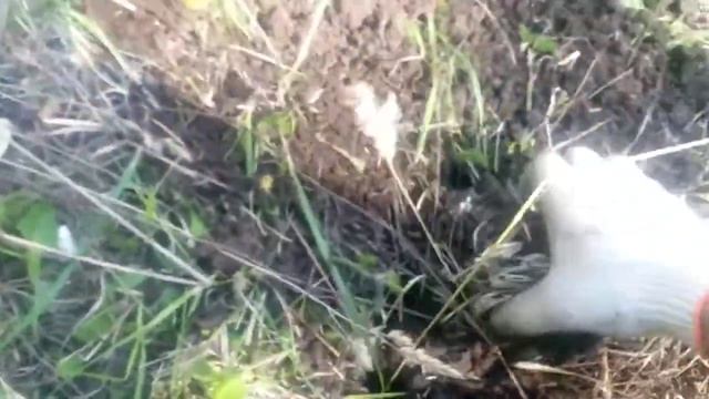 ST944 МОИ НАСТРОЙКИ смотреть онлайн