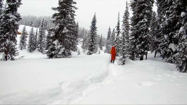 ЕРГАКИ. ЗИМА 2021. Скитур поход по р.Тушканчик смотреть онлайн