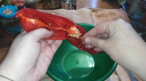 Как собрать семена сладкого перца!