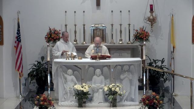 LIVE Saturday, Nov. 11, 2023, 9:00AM - Mass for the Memorial of Saint Martin of Tours, Bishop смотреть онлайн