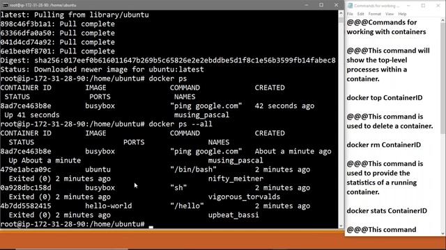 Commands for working with containers смотреть онлайн