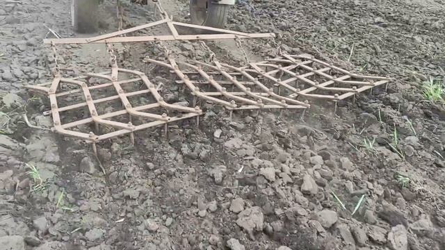 Боронування тяжким дизельним мотоблоком.( Їду по шабашкам) смотреть онлайн