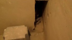 Восстановление перегородки между ванной и туалетом.