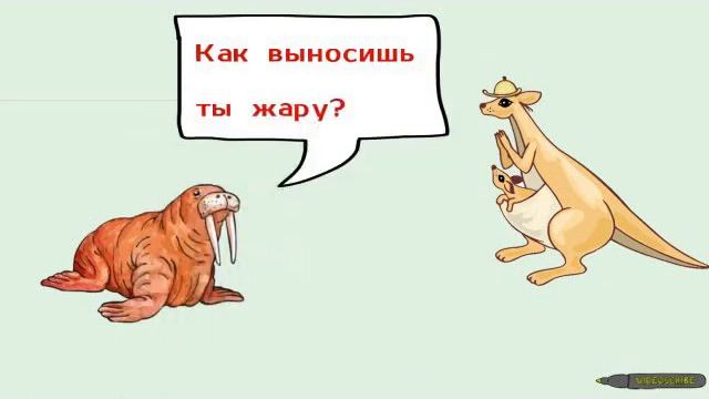 Морж спросил у Кенгуру смотреть онлайн
