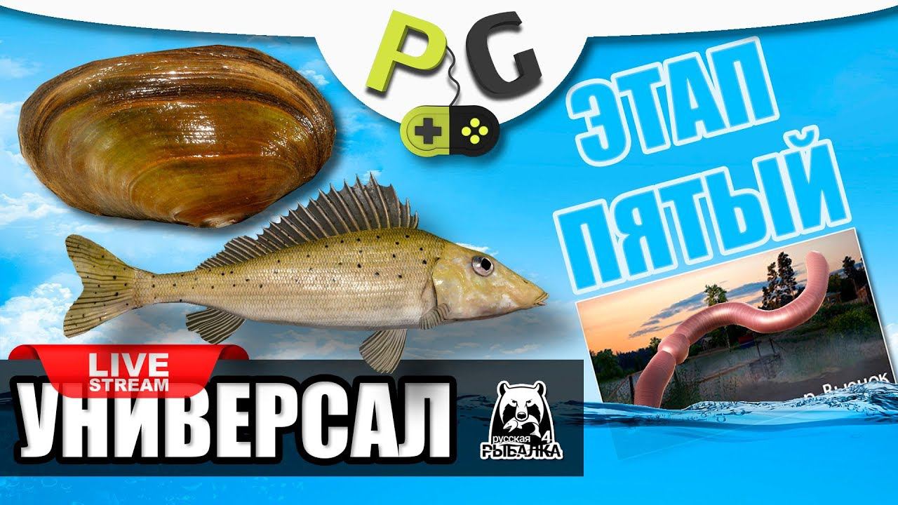 Русская Рыбалка 4 - Стрим Прокачка УНИВЕРСАЛА для пятого этапа, Часть #4, Форумный турнир ИХТИОЛОГ смотреть онлайн