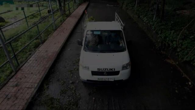 Vietnam Zoo after covid-19. Saigon zoo and botanical garden lockdown 2021. Сайгон зоопарк смотреть онлайн