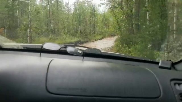 Северная Тошемка - Избушка в кедровнике. Перевал Чайконур. Экспедиция на Северный Урал. Часть 3 смотреть онлайн