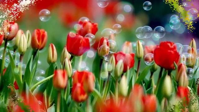 Ламбре. Аромат № 8 смотреть онлайн