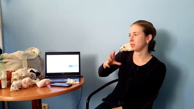 Сердечно-легочная реанимация (лектор Ванина А.О., встреча киевских крысоводов 19.01.2019) часть 1 смотреть онлайн