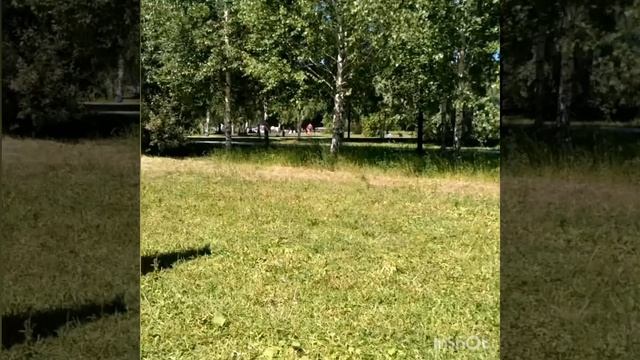 Что такое фляг | Сальто