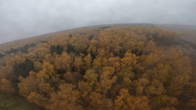 Летово осень смотреть онлайн
