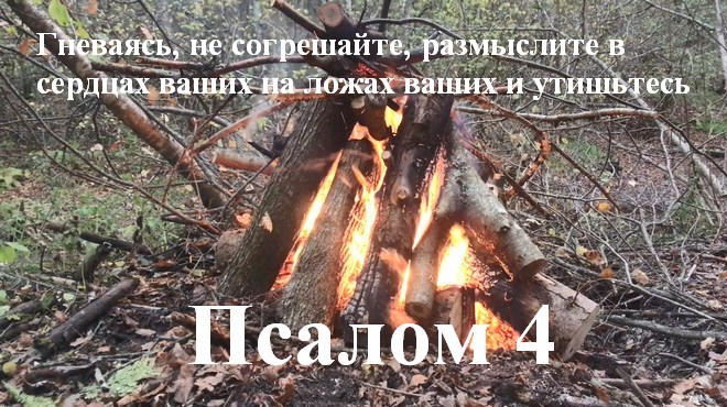 Псалмы в картинках. Наталья Рысь.