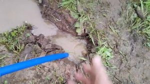 Выбор песка для чистой воды из скважины.