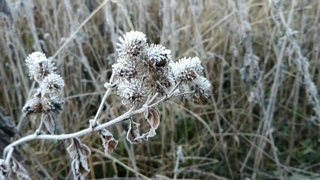 Богословка смотреть онлайн