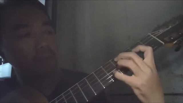 HOA DẠI (mot ngay khong co em ) - guitar solo & hoa tau смотреть онлайн
