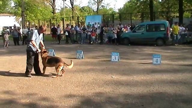 Луганск, выставка собак, стадион Ленина, Бэст ин Шоу, 2010.05.08 164308 смотреть онлайн
