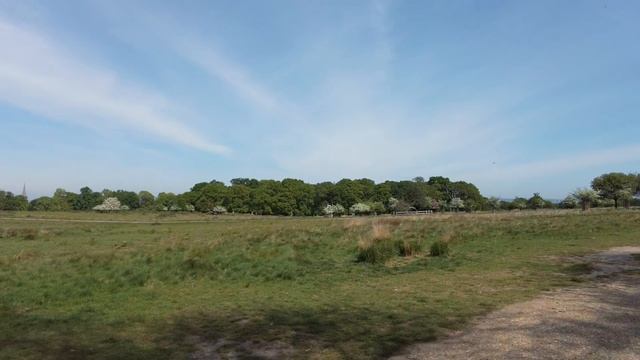 London Spring Walk In Richmond - Upmarket Neighbourhood To Richmond Park