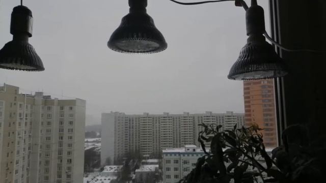 Подсветка томатов зимой. Удачный опыт использования обычных светодиодных ламп для выращивания. смотреть онлайн