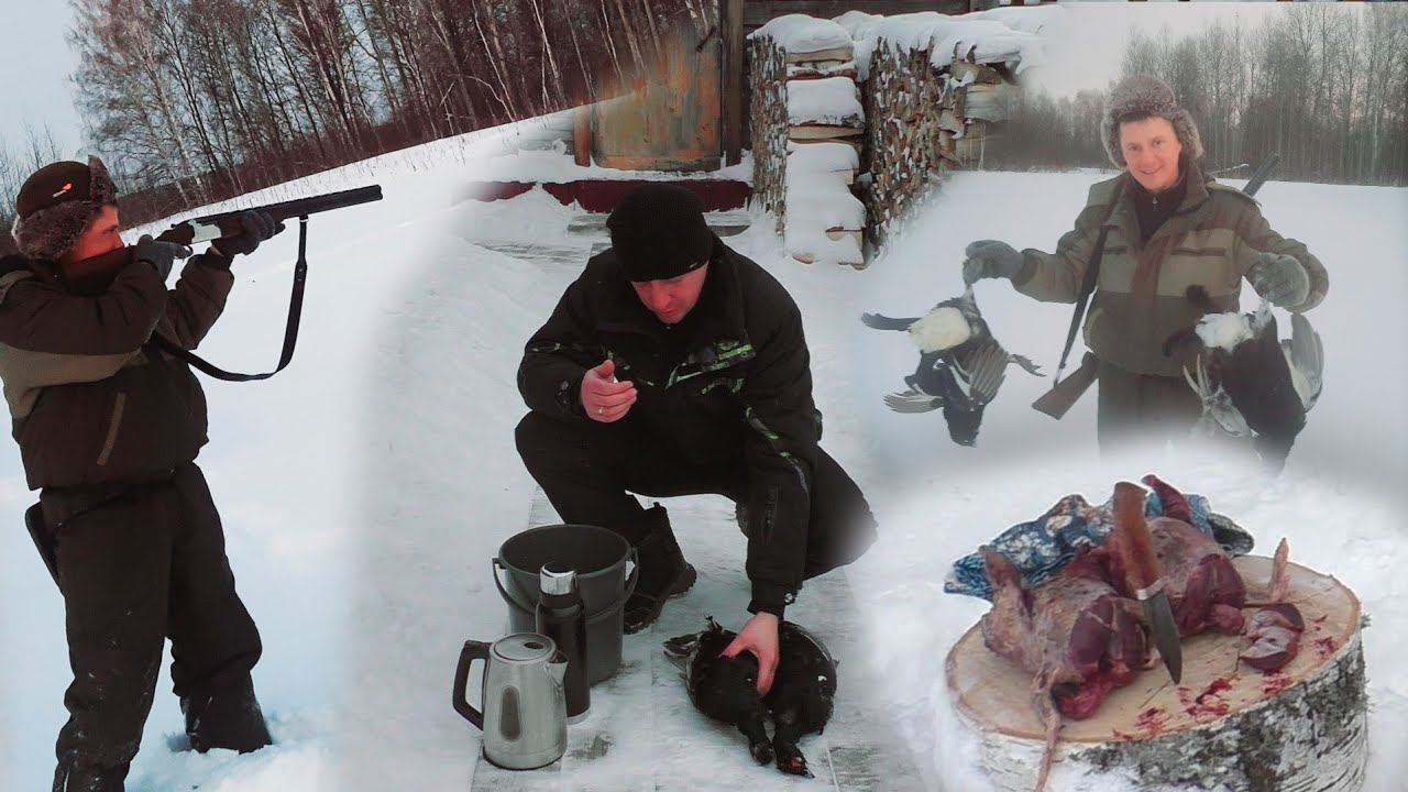 ТЕТЕРЕВ. КОСАЧ. Ошпариваем, ощипываем, опаливаем, потрошим. смотреть онлайн