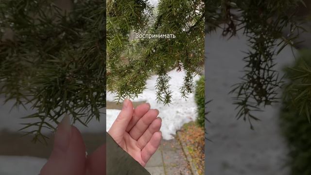 Ты не твои эмоции, ты человек, который их испытывает❤️ #любовьксебе смотреть онлайн