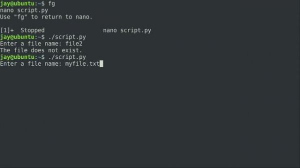 Coding in Python 19 - More fun with the OS Module (Learn Linux TV Classics)