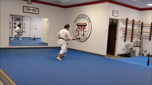 Steel Mace Karate: Core stability and leg torque смотреть онлайн