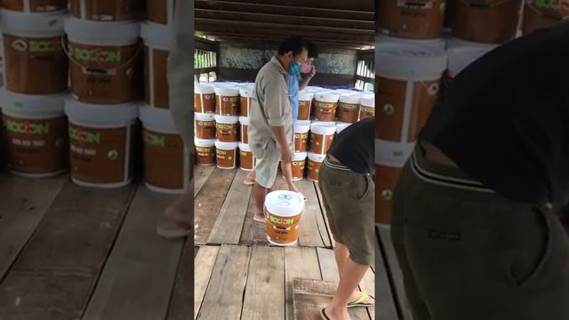 Sơn ECOSON смотреть онлайн