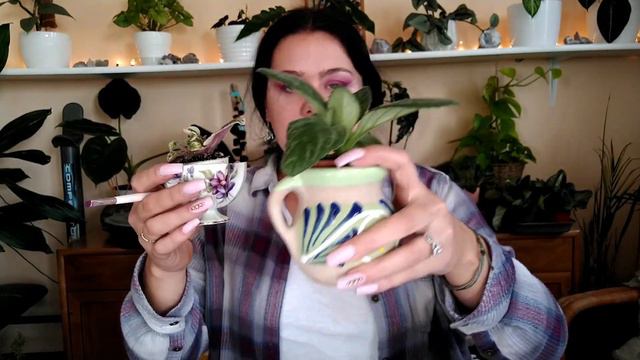 Beauty and Botany | African Violets| Diaries of a Farmhouse смотреть онлайн